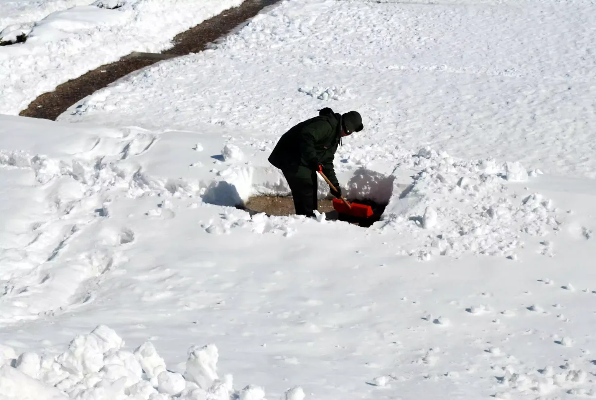 Universal Lessons from Snow Shoveling
