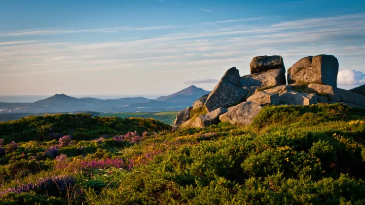 Three Rock Mountain, Dublin, Ireland (Photo credit: Joe King • CC BY-SA 3.0)