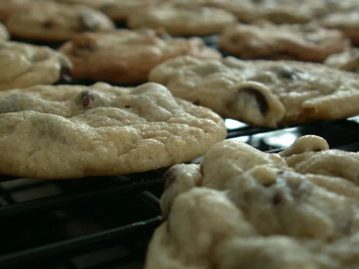 Chocolate chip cookies fresh from the oven (Photo credit: Jim Duncan • CC BY 2.0)