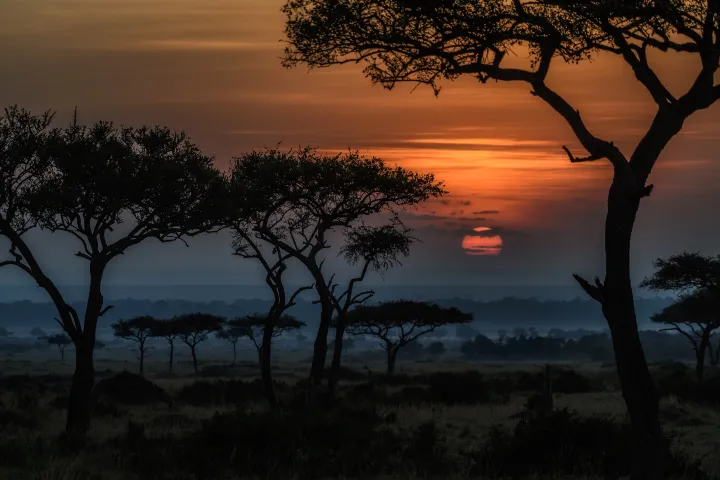 Sunrise in Masai Mara, Kenya, East Africa (Photo credit: Diana Robinson • CC BY-NC-ND 2.0)