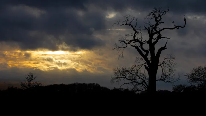 Hope (Photo credit: Graham Keen • CC BY-ND 2.0)