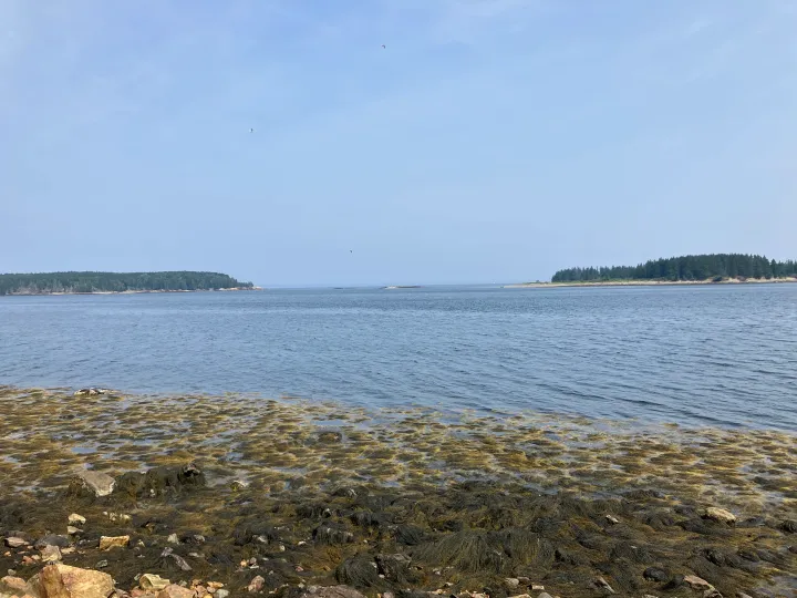 Monroe and Sheep islands from Owls Head Maine (Photo Credit: Tom K • CC0)